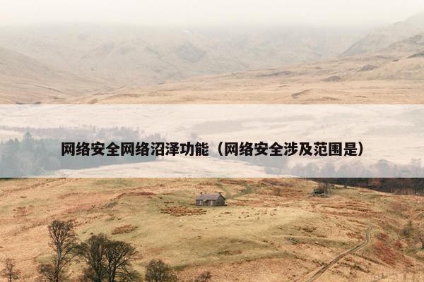 网络安全网络沼泽功能（网络安全涉及范围是）