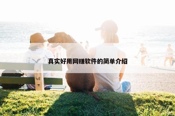真实好用网赚软件的简单介绍