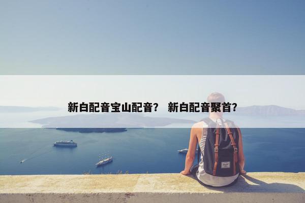 新白配音宝山配音？ 新白配音聚首？