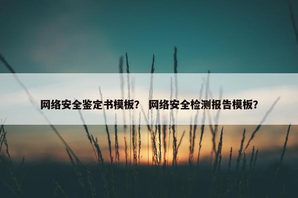 网络安全鉴定书模板？ 网络安全检测报告模板？