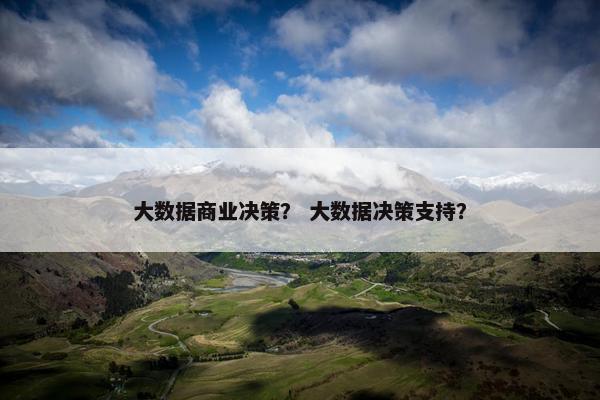 大数据商业决策？ 大数据决策支持？