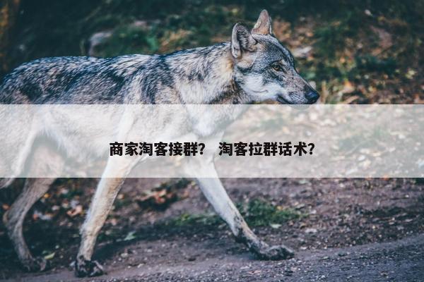 商家淘客接群? 淘客拉群话术? 商家淘客接群? 淘客拉群话术?
