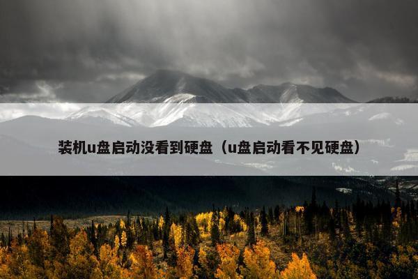 装机u盘启动没看到硬盘(u盘启动看不见硬盘) 装机u盘启动没看到硬盘(u盘启动看不见硬盘)