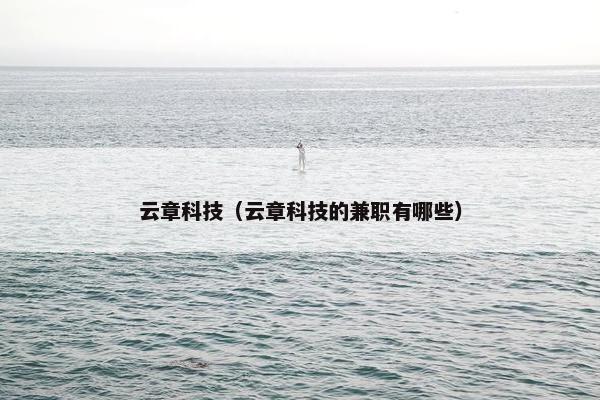 云章科技（云章科技的兼职有哪些）