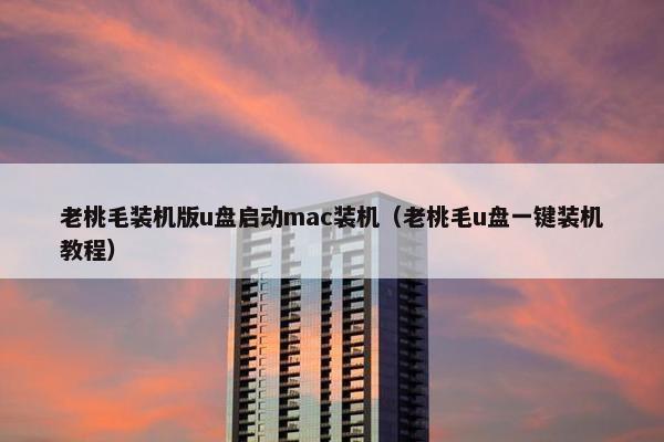 老桃毛装机版u盘启动mac装机(老桃毛u盘一键装机教程) 老桃毛装机版u盘启动mac装机(老桃毛u盘一键装机教程)