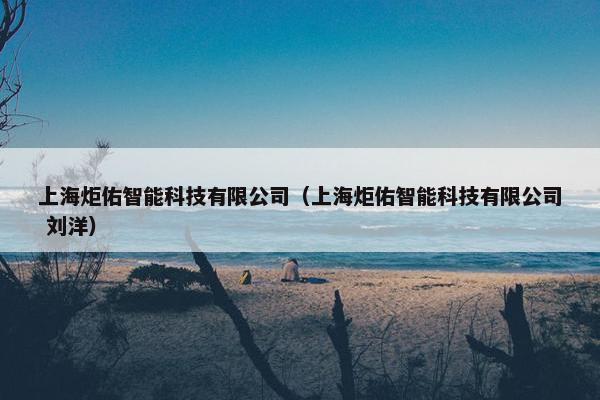 上海炬佑智能科技有限公司（上海炬佑智能科技有限公司 刘洋）