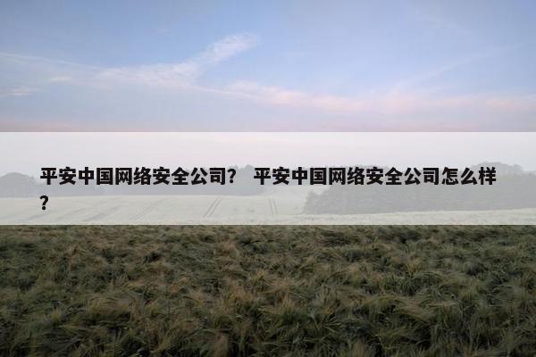 平安中国网络安全公司? 平安中国网络安全公司怎么样? 平安中国网络安全公司? 平安中国网络安全公司怎么样?