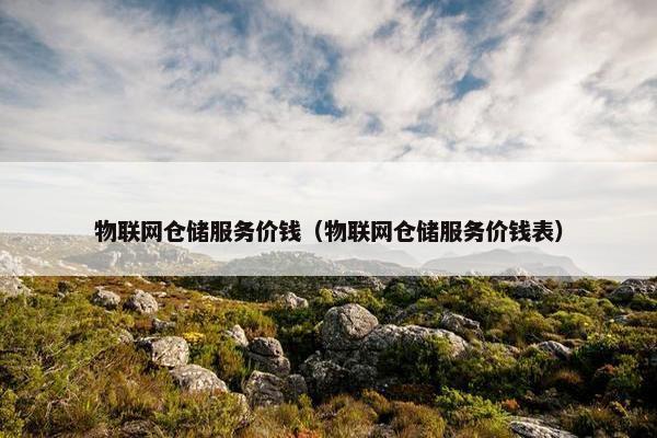 物联网仓储服务价钱（物联网仓储服务价钱表）