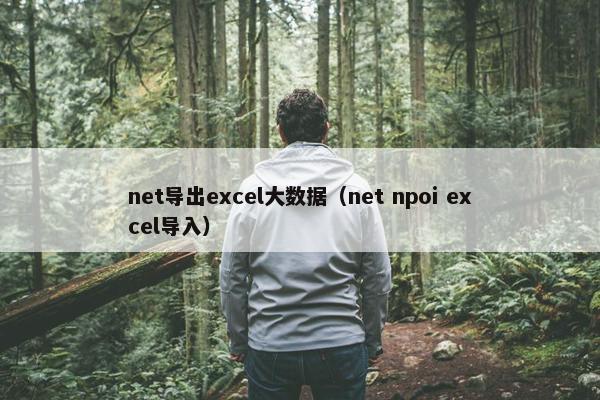 net导出excel大数据(net npoi excel导入) net导出excel大数据(net npoi excel导入)
