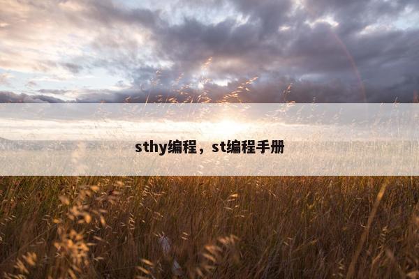 sthy编程,st编程手册 sthy编程,st编程手册