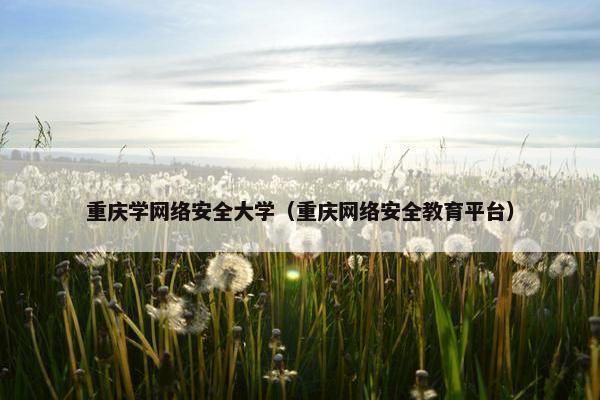 重庆学网络安全大学(重庆网络安全教育平台) 重庆学网络安全大学(重庆网络安全教育平台)