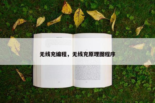 无线充编程，无线充原理图程序