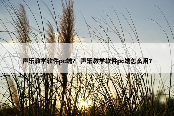 声乐教学软件pc端？ 声乐教学软件pc端怎么用？