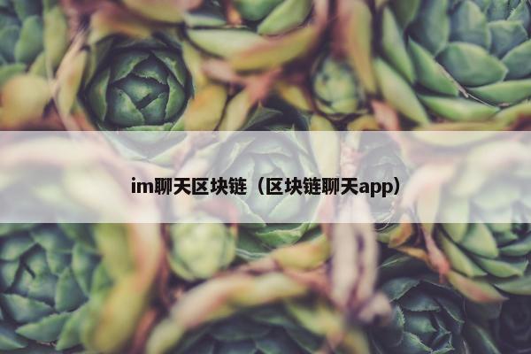 im聊天区块链(区块链聊天app) im聊天区块链(区块链聊天app)