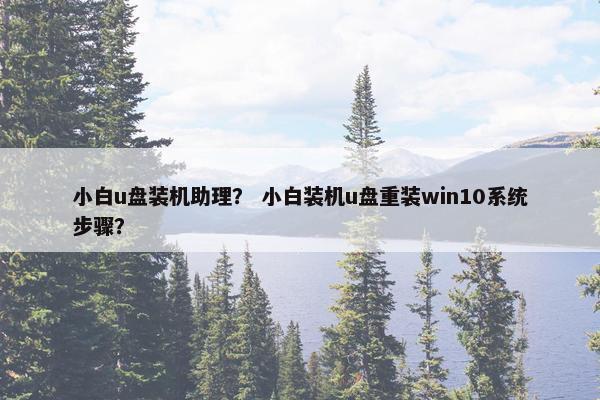 小白u盘装机助理? 小白装机u盘重装win10系统步骤? 小白u盘装机助理? 小白装机u盘重装win10系统步骤?