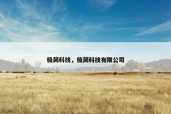 极简科技，极简科技有限公司