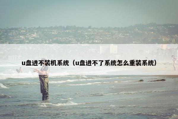 u盘进不装机系统（u盘进不了系统怎么重装系统）