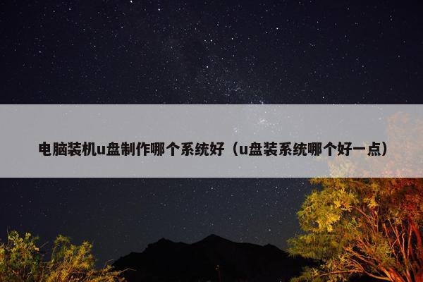 电脑装机u盘制作哪个系统好（u盘装系统哪个好一点）