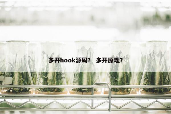 多开hook源码? 多开原理? 多开hook源码? 多开原理?