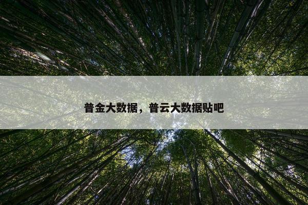 普金大数据，普云大数据贴吧
