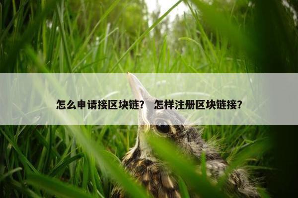 怎么申请接区块链? 怎样注册区块链接? 怎么申请接区块链? 怎样注册区块链接?