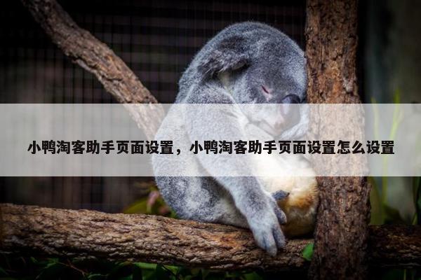 小鸭淘客助手页面设置,小鸭淘客助手页面设置怎么设置 小鸭淘客助手页面设置,小鸭淘客助手页面设置怎么设置