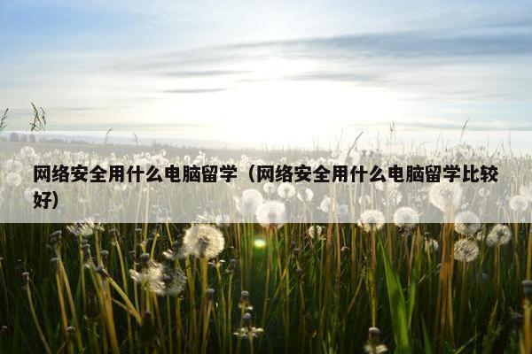 网络安全用什么电脑留学(网络安全用什么电脑留学比较好) 网络安全用什么电脑留学(网络安全用什么电脑留学比较好)