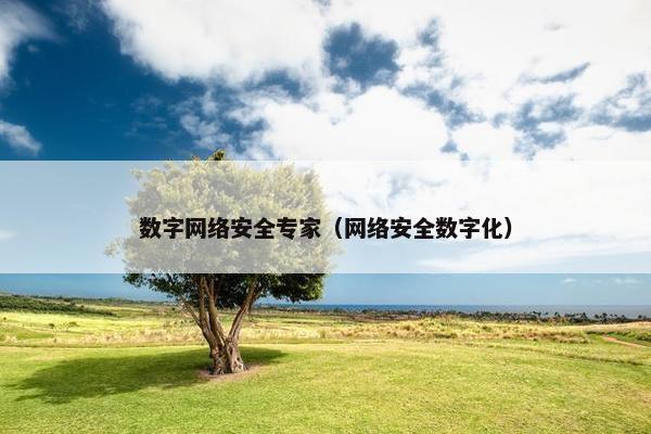 数字网络安全专家(网络安全数字化) 数字网络安全专家(网络安全数字化)