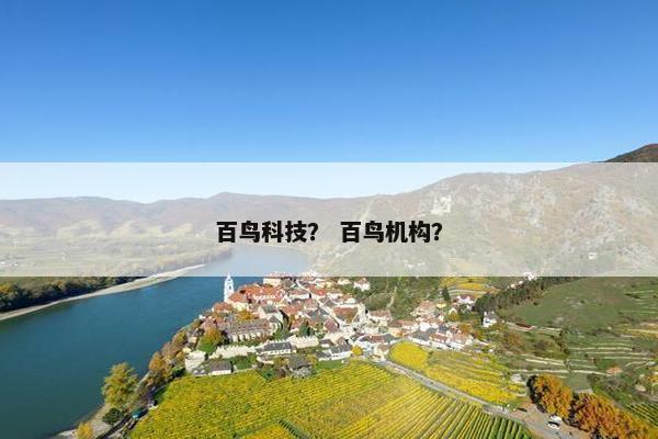 百鸟科技？ 百鸟机构？