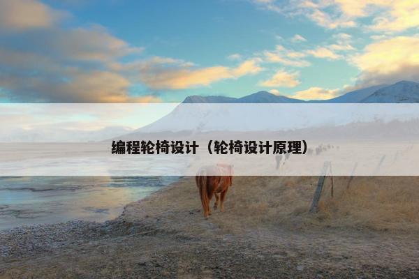 编程轮椅设计(轮椅设计原理) 编程轮椅设计(轮椅设计原理)