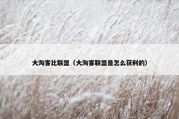 大淘客比联盟(大淘客联盟是怎么获利的) 大淘客比联盟(大淘客联盟是怎么获利的)