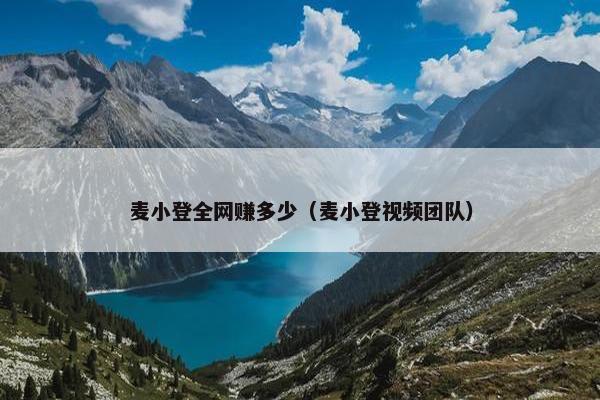 麦小登全网赚多少（麦小登视频团队）