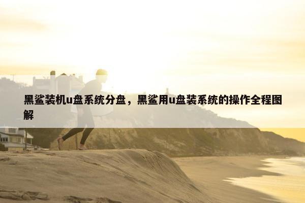 黑鲨装机u盘系统分盘,黑鲨用u盘装系统的操作全程图解 黑鲨装机u盘系统分盘,黑鲨用u盘装系统的操作全程图解