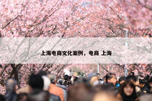 上海电商文化案例，电商 上海