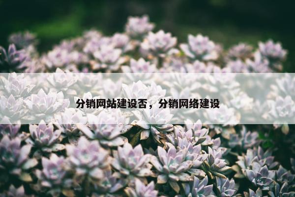 分销网站建设否，分销网络建设