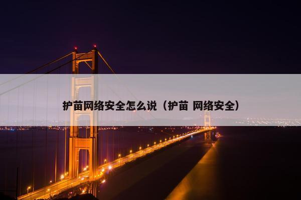 护苗网络安全怎么说（护苗 网络安全）
