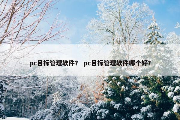 pc目标管理软件? pc目标管理软件哪个好? pc目标管理软件? pc目标管理软件哪个好?