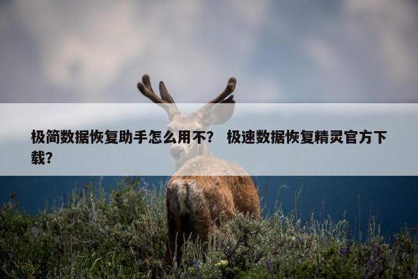 极简数据恢复助手怎么用不？ 极速数据恢复精灵官方下载？