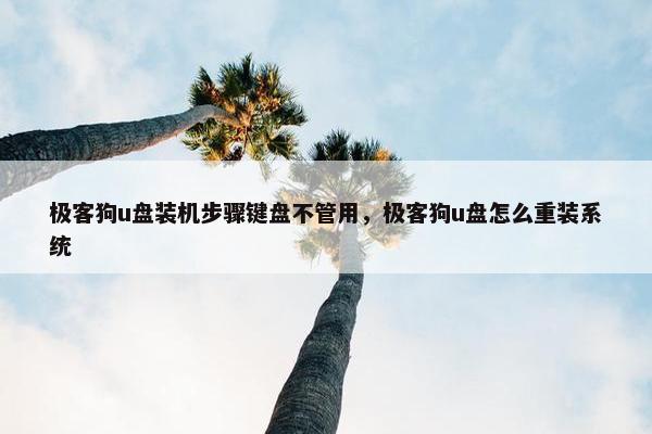 极客狗u盘装机步骤键盘不管用，极客狗u盘怎么重装系统