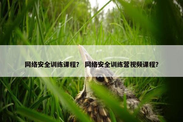 网络安全训练课程? 网络安全训练营视频课程? 网络安全训练课程? 网络安全训练营视频课程?