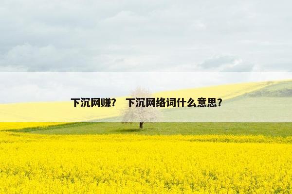 下沉网赚？ 下沉网络词什么意思？
