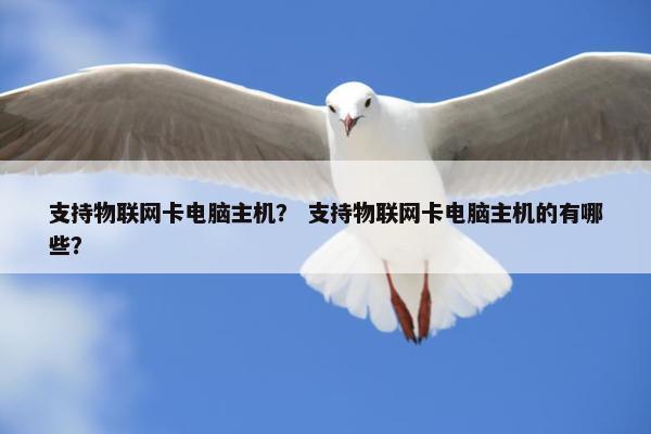 支持物联网卡电脑主机? 支持物联网卡电脑主机的有哪些? 支持物联网卡电脑主机? 支持物联网卡电脑主机的有哪些?
