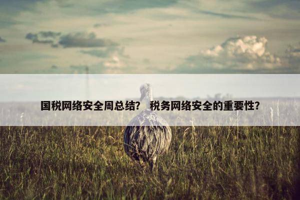 国税网络安全周总结？ 税务网络安全的重要性？