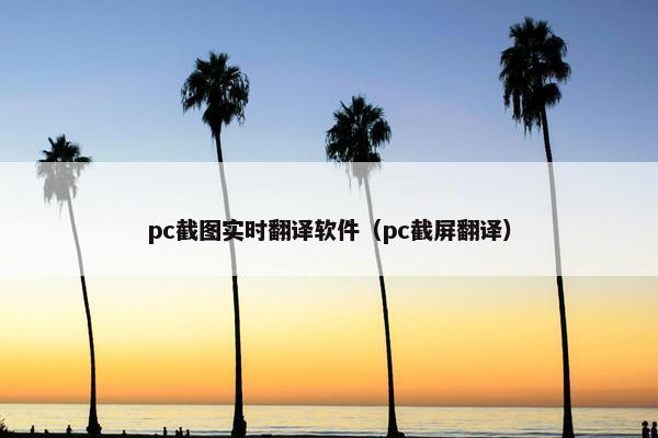 pc截图实时翻译软件(pc截屏翻译) pc截图实时翻译软件(pc截屏翻译)