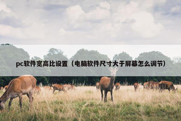 pc软件宽高比设置（电脑软件尺寸大于屏幕怎么调节）