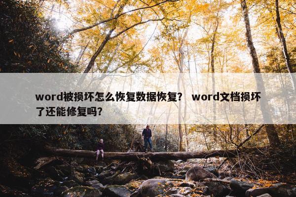 word被损坏怎么恢复数据恢复? word文档损坏了还能修复吗? word被损坏怎么恢复数据恢复? word文档损坏了还能修复吗?