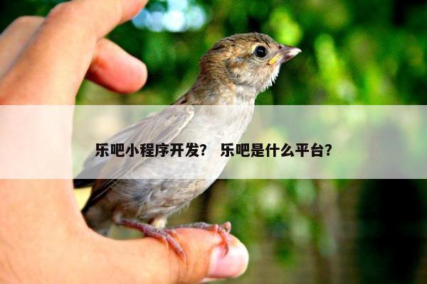 乐吧小程序开发？ 乐吧是什么平台？