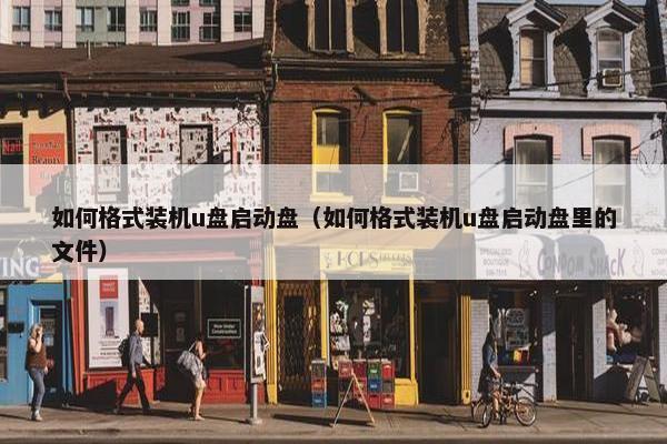 如何格式装机u盘启动盘（如何格式装机u盘启动盘里的文件）