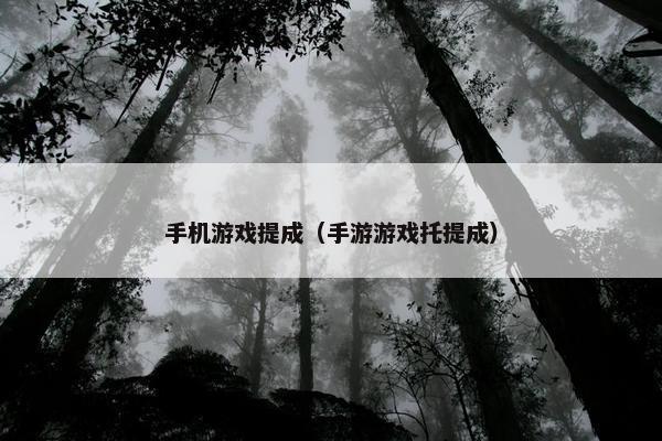 手机游戏提成(手游游戏托提成) 手机游戏提成(手游游戏托提成)