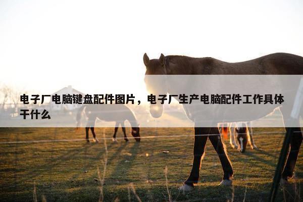 电子厂电脑键盘配件图片,电子厂生产电脑配件工作具体干什么 电子厂电脑键盘配件图片,电子厂生产电脑配件工作具体干什么